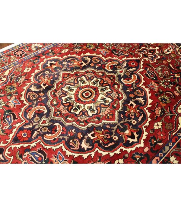 Nomadski tepih Bakhtiar br. 102338 - (305×207 cm) - Slika 12