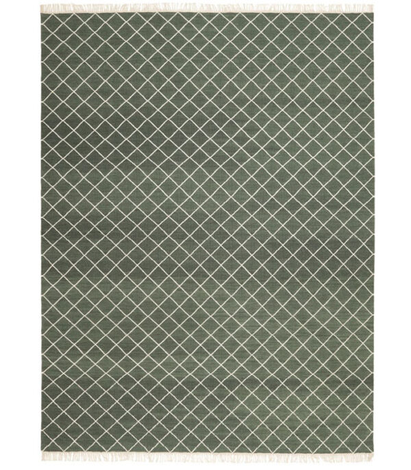 Modern Plain Kilim 556621-green