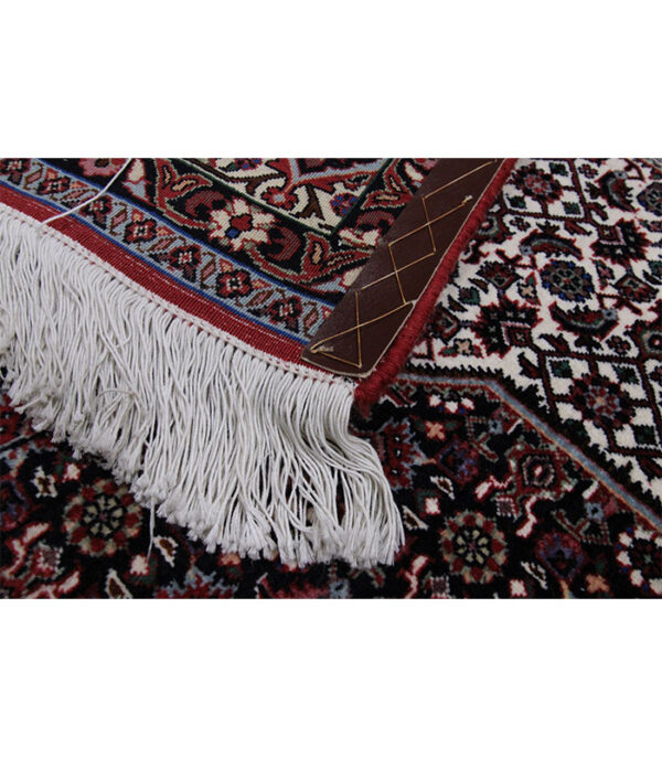 Perzijski tepih Bidjar br. 53739 - 262 x 197 cm - Slika 8