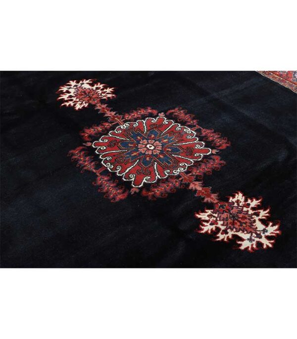 Perzijski tepih Heriz br. 53 - 330 x 267 cm - Slika 10
