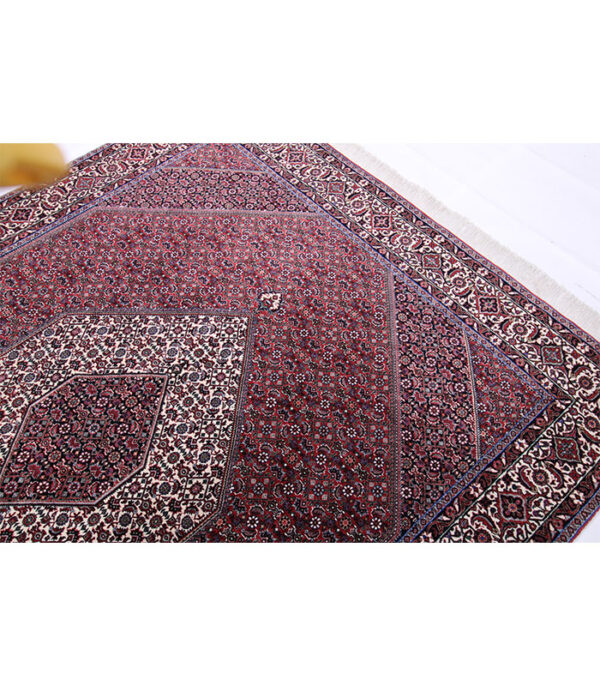 Perzijski tepih Bidjar br. 53739 - 262 x 197 cm - Slika 12