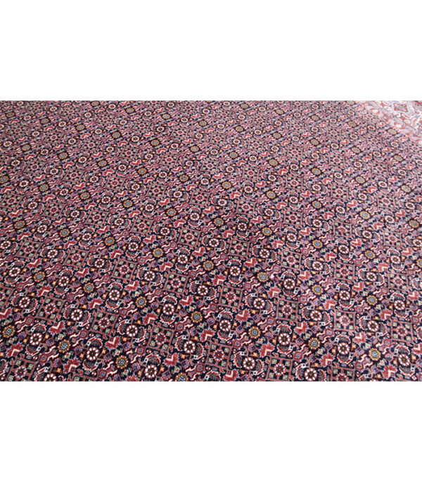 Perzijski tepih Bidjar br. 842 - 290 x 205 cm - Slika 14