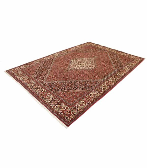 Bidjar Tepih Br. 11223 - 294 x 200 cm - Slika 13