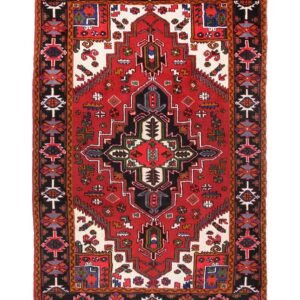 Orijentalni tepih br. ARI-206 - 308 × 210 cm