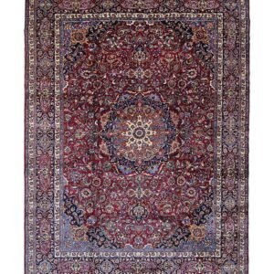 Orijentalni tepih br. ARI-202427 - 406 × 296 cm
